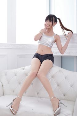 小燕子h